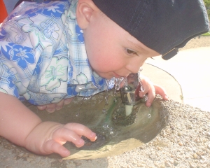 Nate at the drinking fountain at Valencia Summit Park.